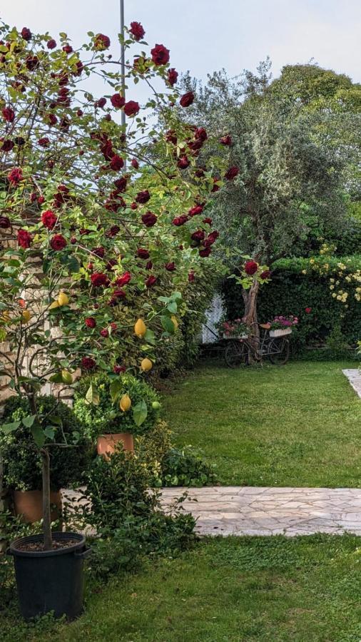 Bed & Breakfast Agli Aceri 베로나 외부 사진