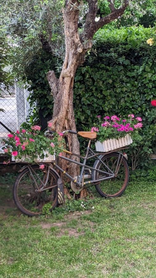 Bed & Breakfast Agli Aceri 베로나 외부 사진